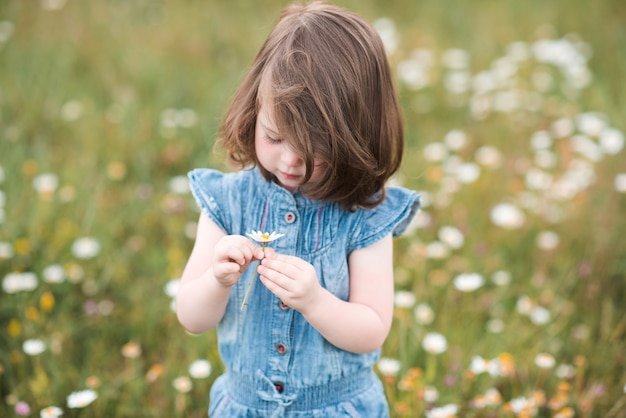 Bambina che gioca con i fiori in posa nel prato