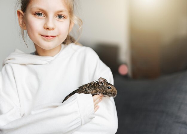 Bambina che gioca con il piccolo scoiattolo degu animale