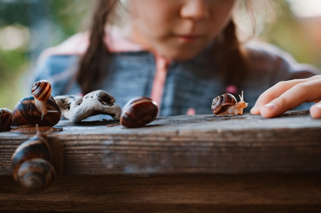 Bambina che guarda attentamente la piccola lumaca che striscia lungo la panca di legno mentre trascorre del tempo nella natura