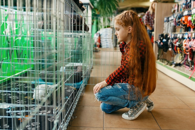 Bambina che osserva sulla gabbia nel negozio di animali. Bambino che acquista attrezzature nel negozio di animali, accessori per animali domestici