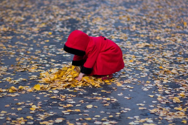 Bambina che raccoglie foglie gialle nel parco autunnale