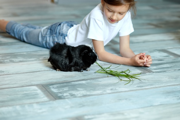 Bambina che tiene e alimenta cavia nera, animale domestico. I bambini danno da mangiare agli animali della cavia, vanno allo zoo o alla fattoria, si prendono cura degli animali domestici. Resta in quarantena, ragazzo a casa.