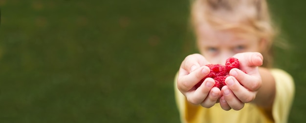 Bambina che tiene una manciata di banner di berriesraspberries rossi