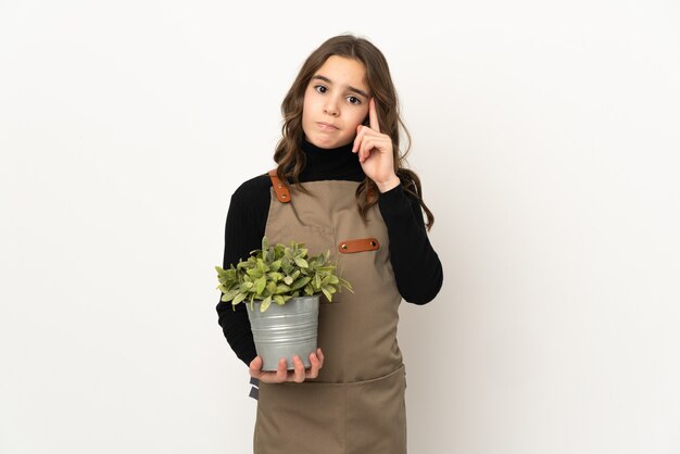 Bambina che tiene una pianta isolata sulla parete bianca che pensa un'idea