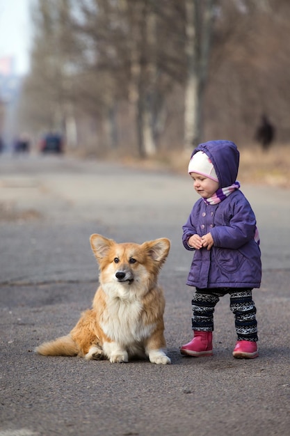 Bambina con cane corgi all'aperto