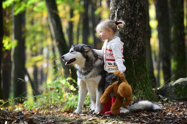 Bambina con cane un bosco autunnale