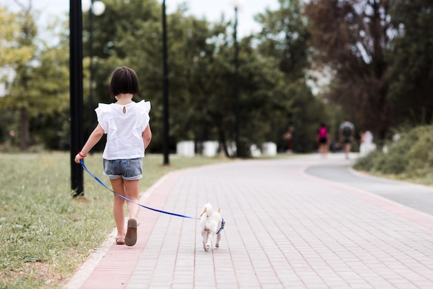 Bambina di 45 anni che cammina nel parco con un cucciolo di chihuahua all'aperto Vista posteriore