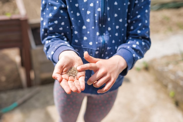 Bambina felice che pianta semi nell'orto