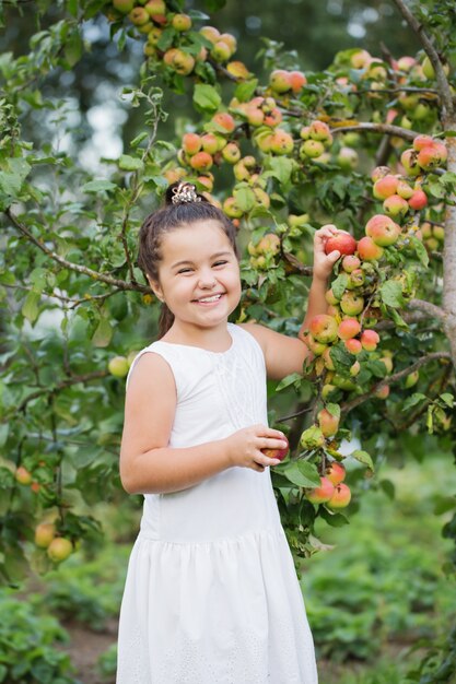 Bambina felice con le mele nel frutteto