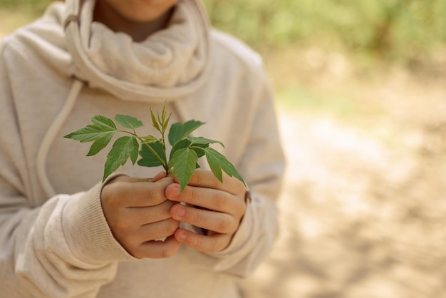 Bambina graziosa in passeggiata nel soleggiato parco primaverile