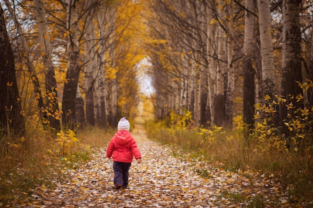 Bambina in autunno Parco indietro