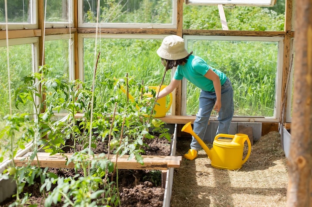 Bambina in maglietta verde e panama bianco vicino a cespugli di pomodoro in una serra di vetro in estate