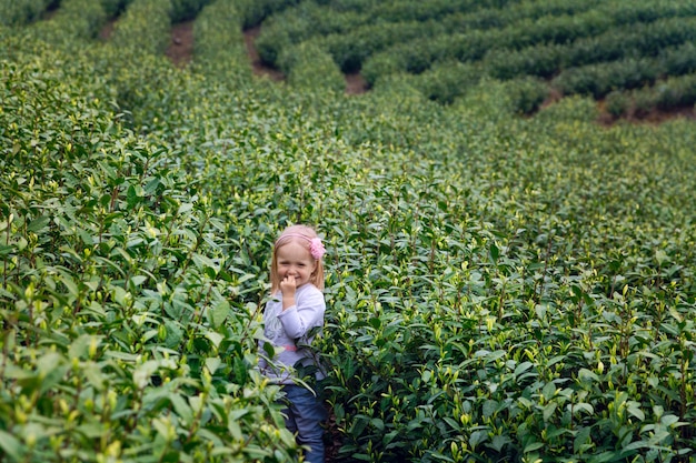 Bambina in piedi su una piantagione di tè