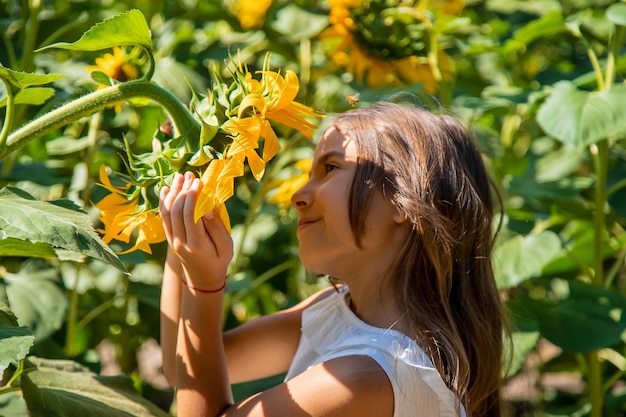 Bambina in un campo di girasoli. Messa a fuoco selettiva. Ragazzo.