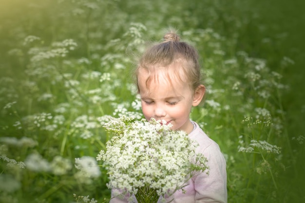 Bambina nel campo che tiene un mazzo di fiori selvatici sorridente. La ragazza sta annusando un mazzo di fiori di campo bianchi.