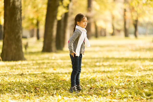 Bambina nel parco d&#39;autunno