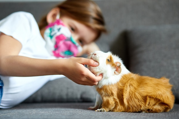 Bambina nella maschera che gioca con la cavia rossa, cavy a casa al sofà mentre nella quarantena.