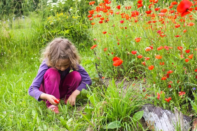 Bambina sveglia che gioca all'aperto su un prato con papaveri rossi in fiore in estate in campagna