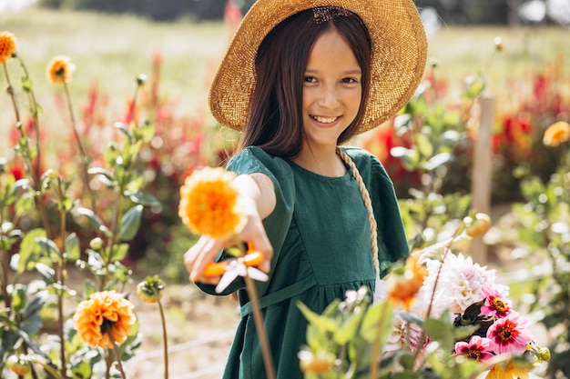 Bambina sveglia che raccoglie fiori