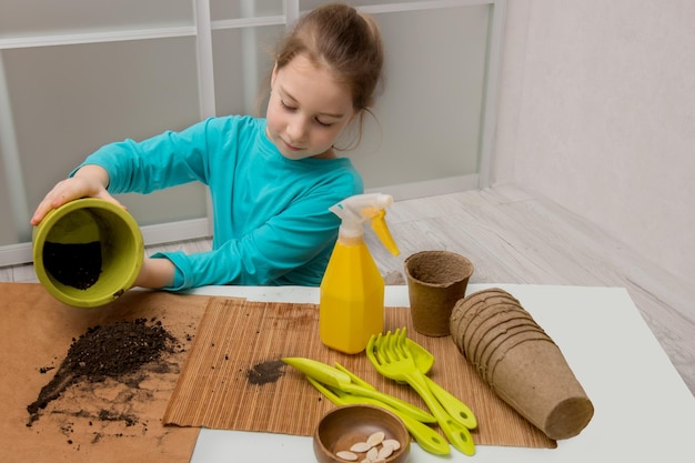 Bambina sveglia che si siede alla tavola con gli attrezzi da giardinaggio e che versa terra dalla pentola per prepararsi a piantare le piantine dei semi di zucca