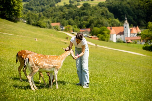 Bambina sveglia tra la mandria di renne nella giornata di sole