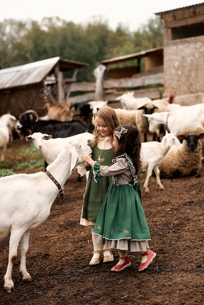 Bambini carini in bei vestiti che camminano in una fattoria che dà da mangiare alle capre