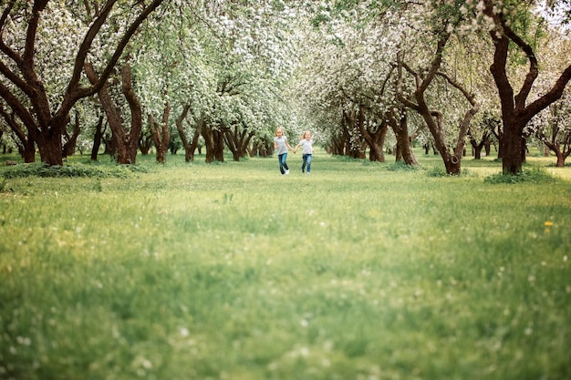 Bambini carini stanno in un giardino fiorito Due sorelle stanno camminando nel parco tra un giardino fiorito