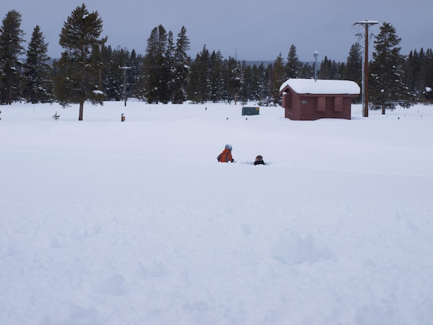 Bambini che giocano nella neve al parco nazionale Great Teton.