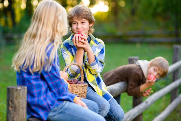 Bambini che hanno picnic all'aperto