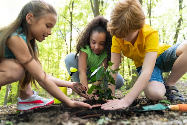 Bambini che piantano insieme nella foresta