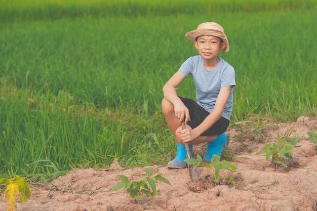 Bambini che piantano l'albero in campagna