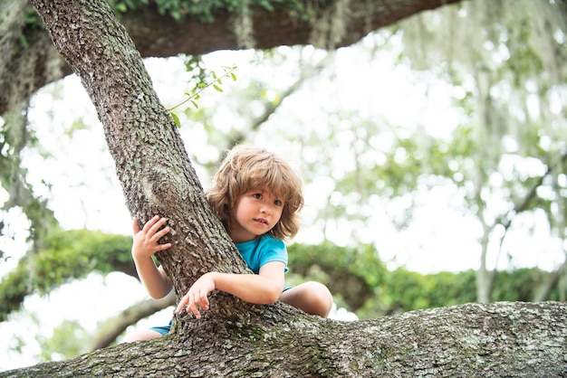 Bambini che si arrampicano sugli alberi. All'aperto ritratto di ragazzo carino in età prescolare Bambino arrampicarsi su un albero.