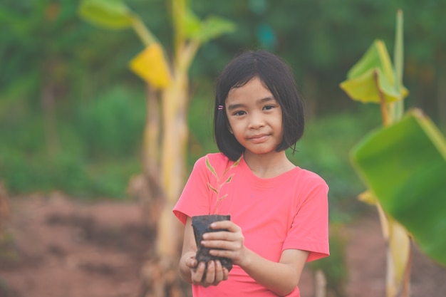 Bambini che tengono la semina dell'albero per piantare sul terreno