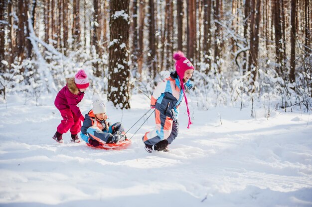 Bambini in slitta nella foresta d'inverno