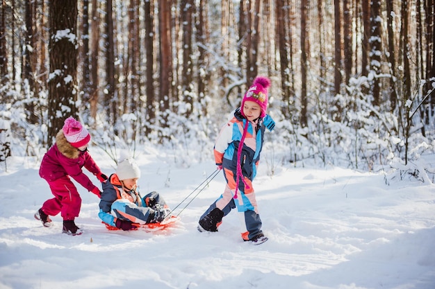 Bambini in slitta nella foresta d'inverno