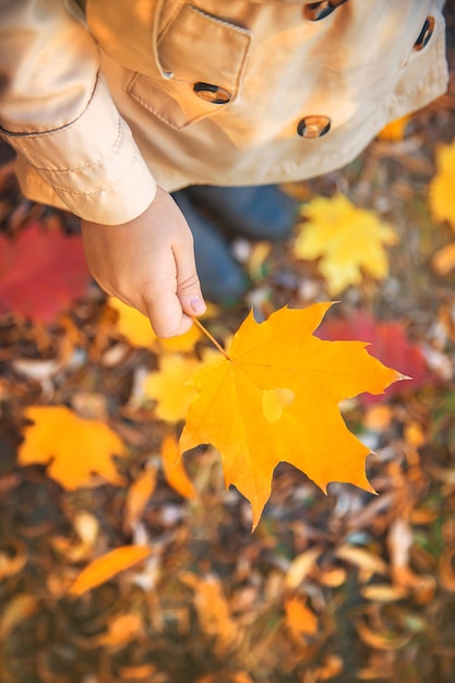 Bambini nel parco con foglie di autunno. Messa a fuoco selettiva.