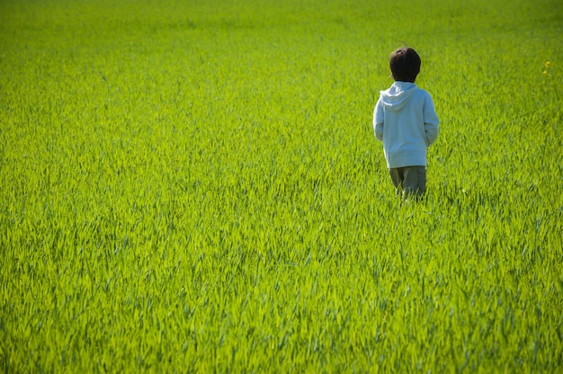 Bambino a piedi sul campo di erba verde gialla