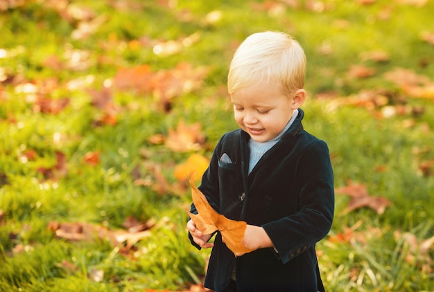 Bambino adorabile dei bambini di autunno che gioca con le foglie cadute nel parco di autunno