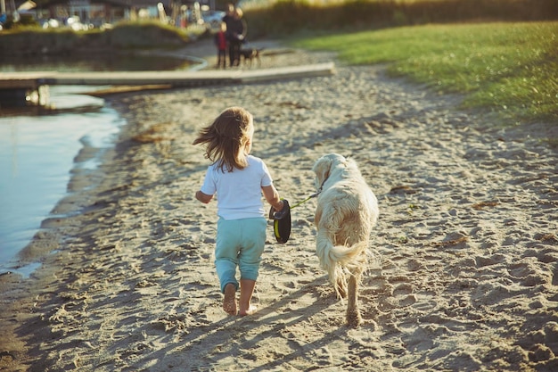 Bambino affascinante che porta a spasso il cane sulla spiaggia al tramonto