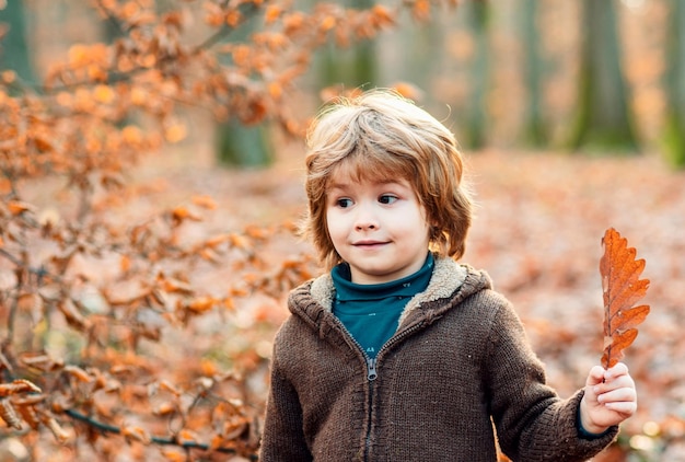 Bambino autunnale all'aperto che si gode la natura Ritratto bambini con faccia buffa su foglie d'acero gialle