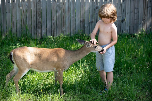 Bambino carino che allatta il bambino fulvo nel ragazzo della foresta con un animale grazioso all'adattamento dei bambini del parco