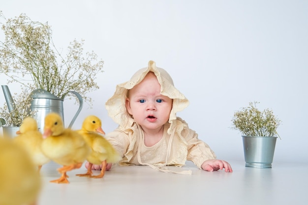 Bambino carino con piccoli pulcini neonati che si godono bambino carino e amico animale