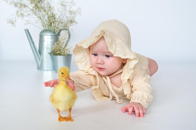 Bambino carino con piccoli pulcini neonati che si godono bambino carino e amico animale