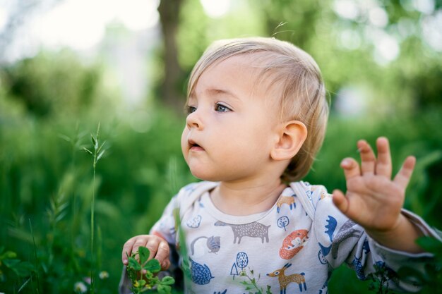 Bambino carino nel ritratto dell'erba alta