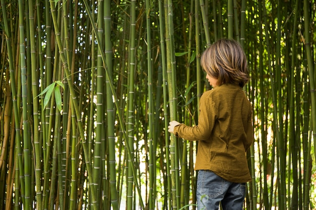 Bambino che cammina attraverso una foresta di bambù