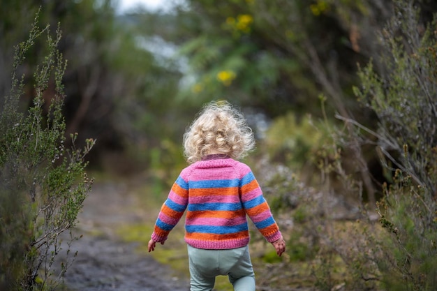 bambino che fa un'escursione nella foresta su un sentiero in un parco nazionale