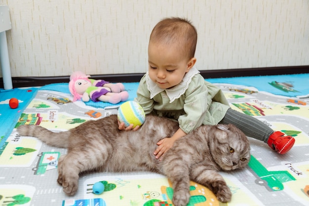 Bambino che gioca con il gatto