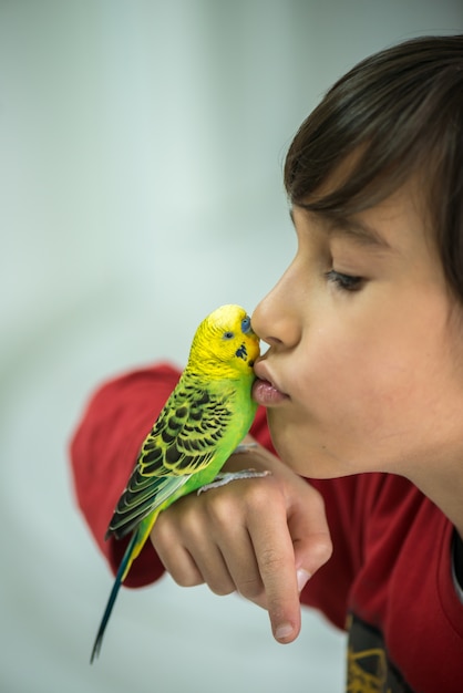 Bambino che gioca con il suo pappagallo domestico