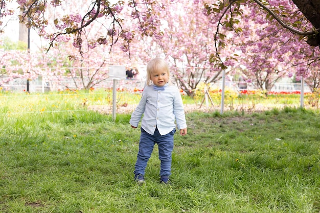 Bambino che gioca nel giardino fiorito di sakura