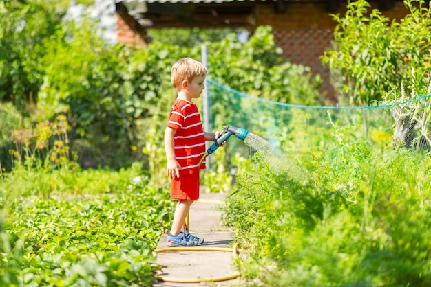 Bambino che innaffi fiori e piante in giardino ragazzino che fa il giardinaggio